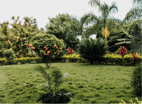 Design Leadership Without Borders — 09.24.2020