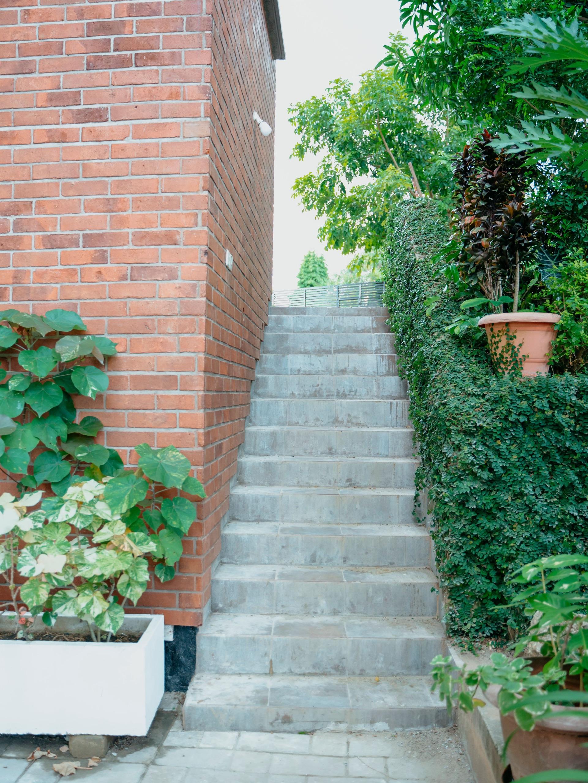 ALAMA House Extension — photo 10